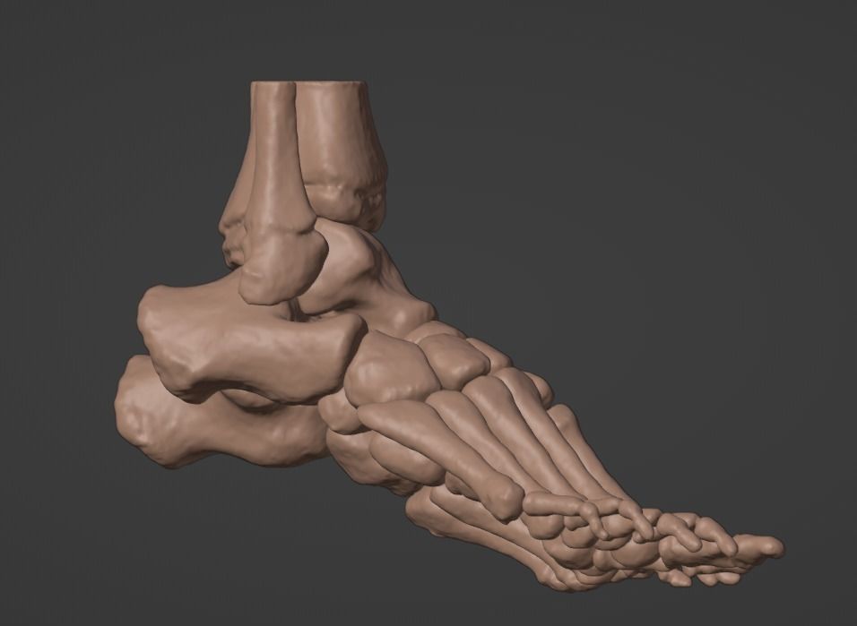 3D Model of Feet 3D print model_2