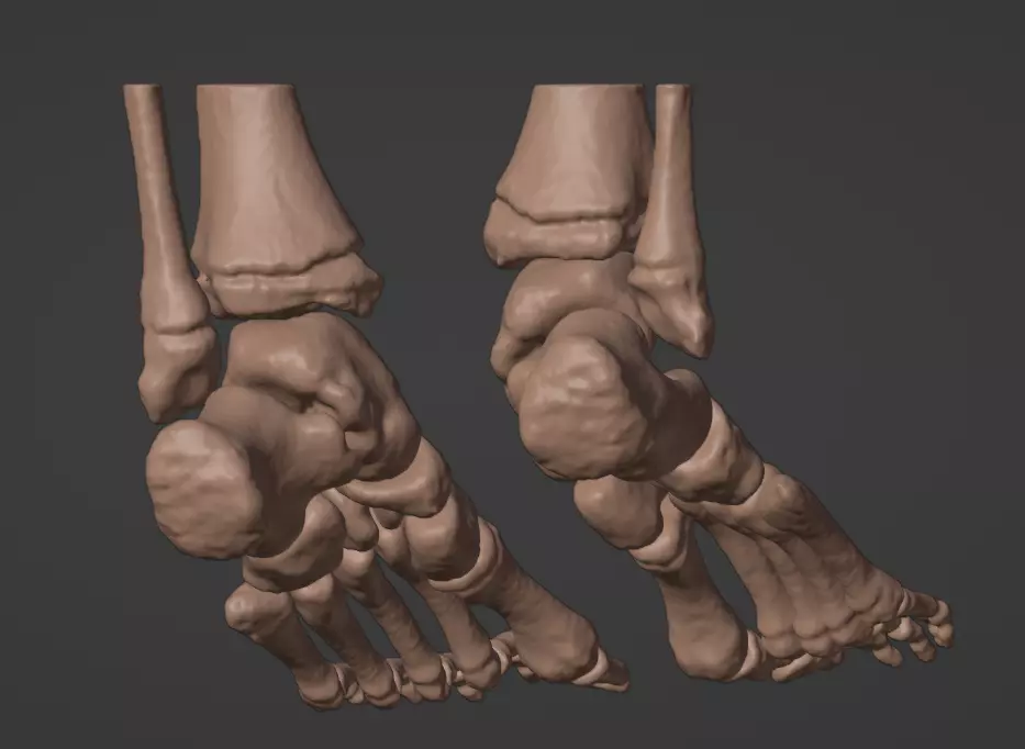 3D Model of Feet 3D print model_0