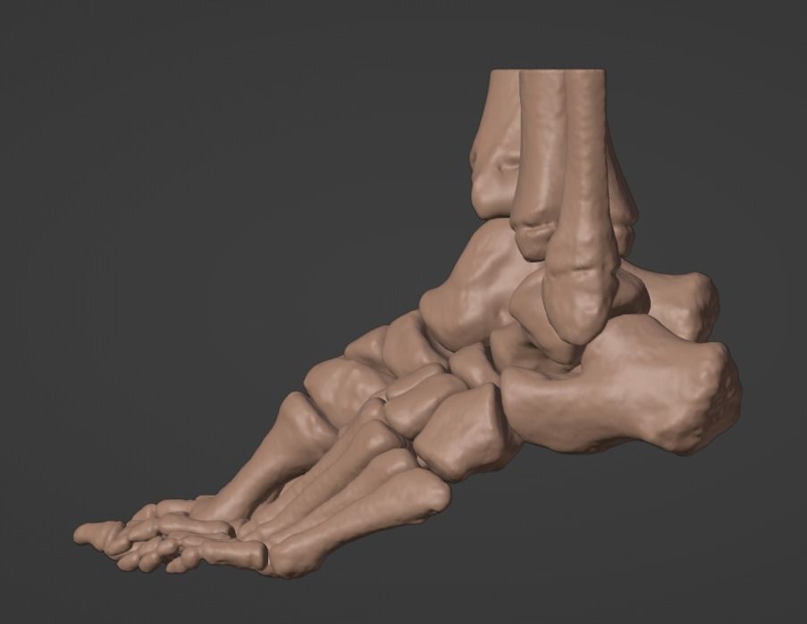 3D Model of Feet 3D print model_3