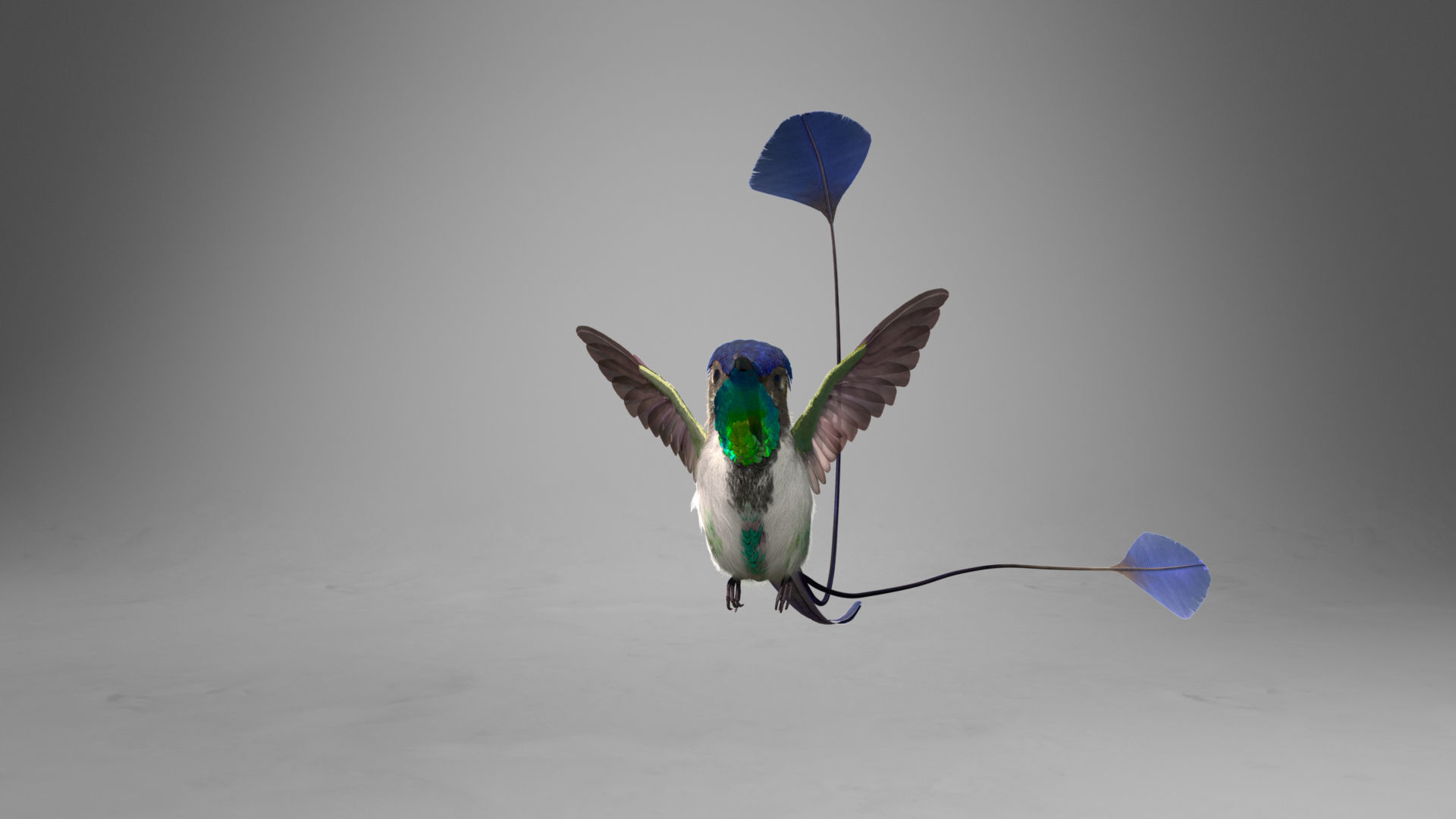 Hummingbird Animation VFX Grace 3D model_8