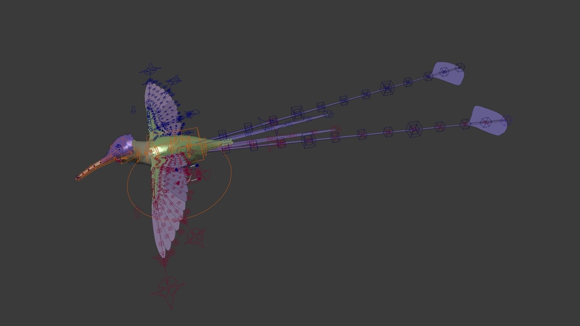 Hummingbird Animation VFX Grace 3D model_14