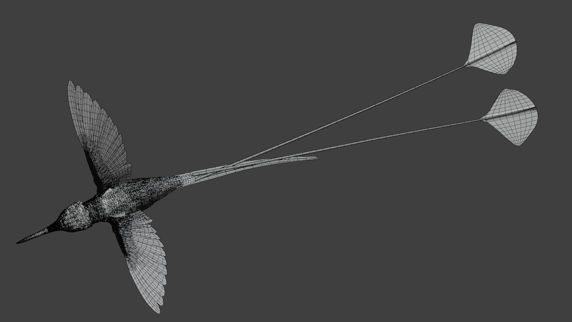 Hummingbird Animation VFX Grace 3D model_25