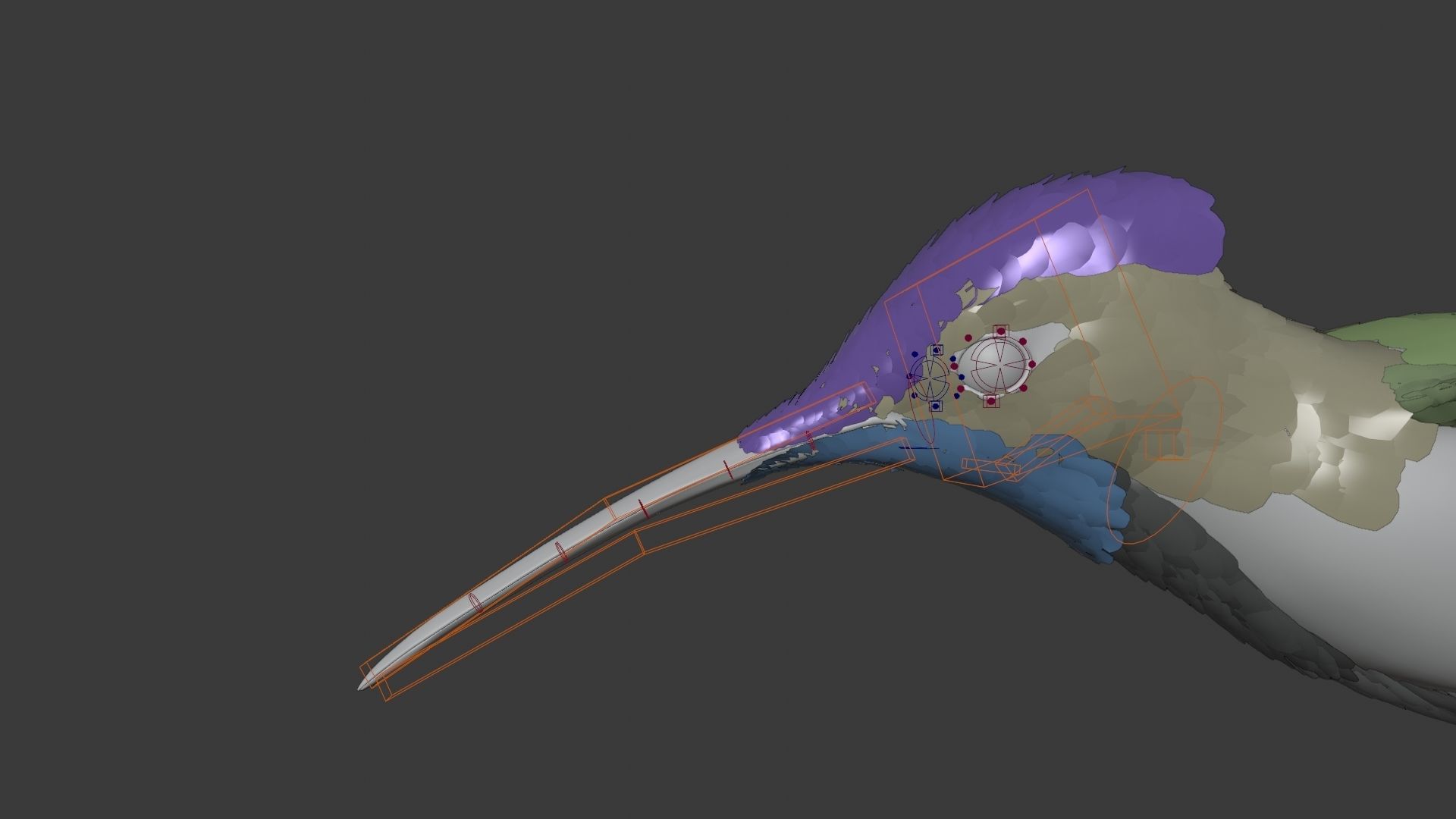 Hummingbird Animation VFX Grace 3D model_16
