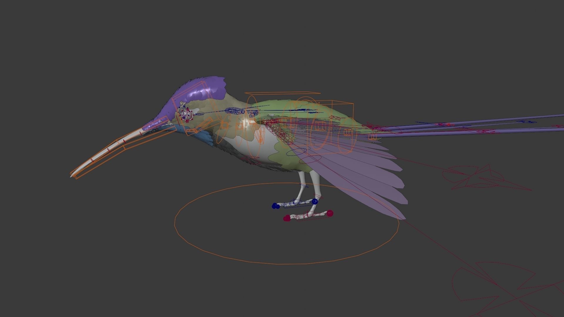 Hummingbird Animation VFX Grace 3D model_15