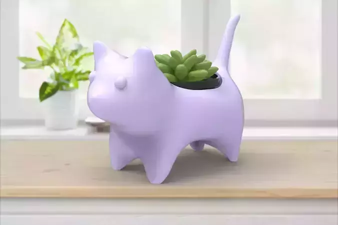 Vase potted succulent and plants Cat
