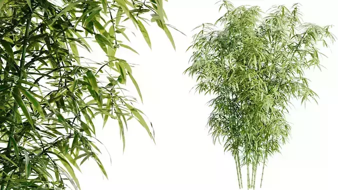 Bamboo Bush - 4K PBR Materials  Low-poly 3D model