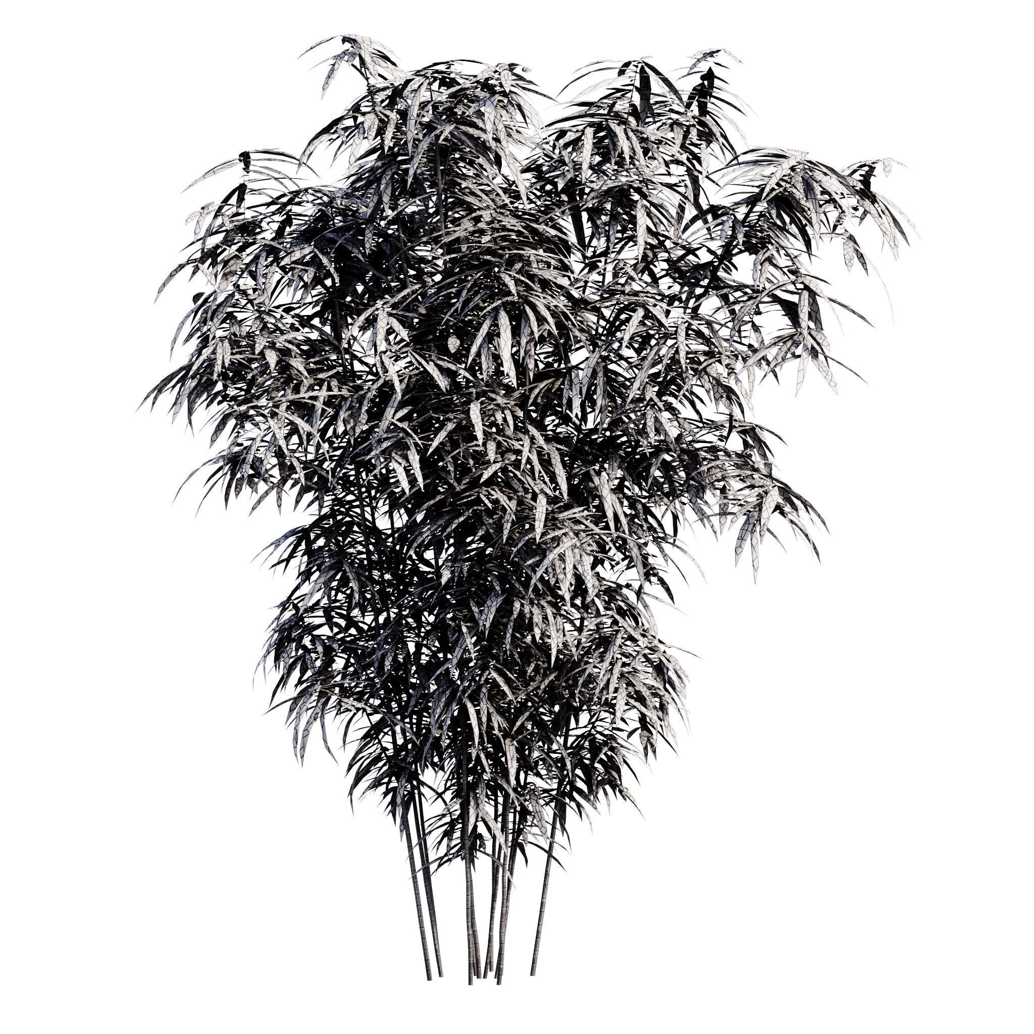 Bamboo Bush - 4K PBR Materials  Low-poly 3D model_8