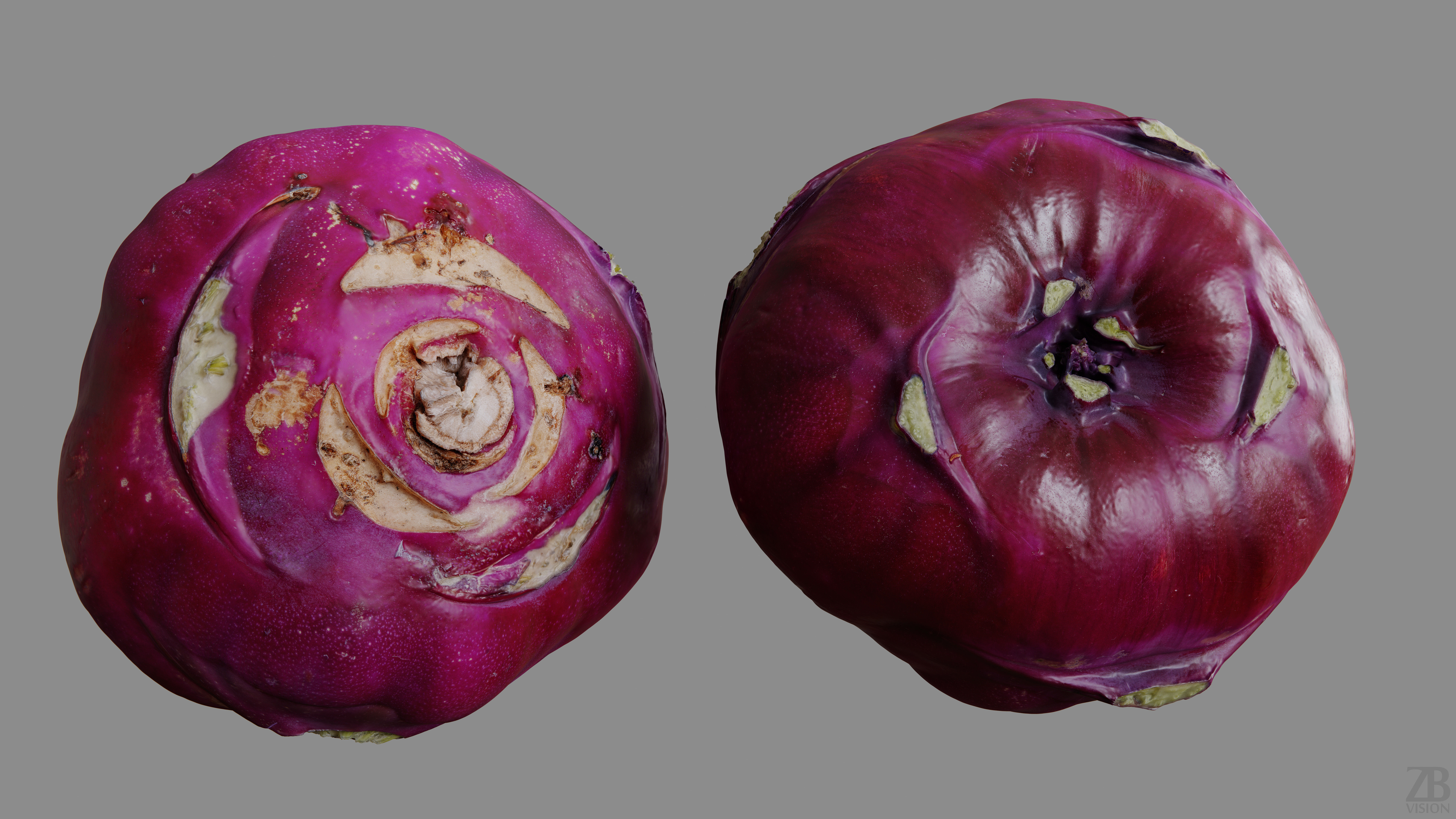 Kohlrabi 3D model_9