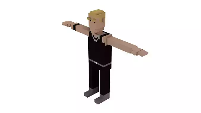 PUNK 2 VOXEL CHARACTER