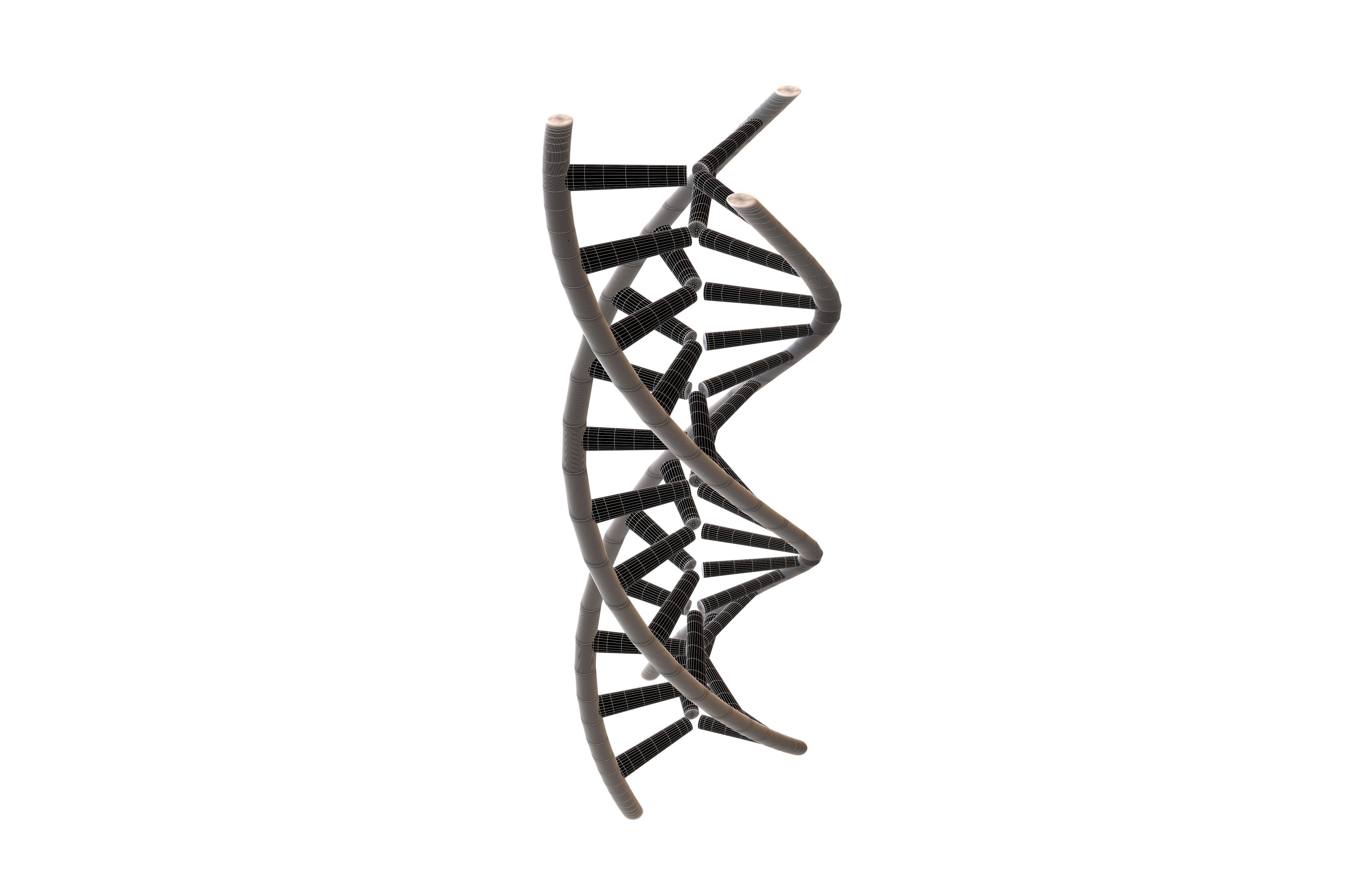 Triple Helix DNA v1 002 3D model_4