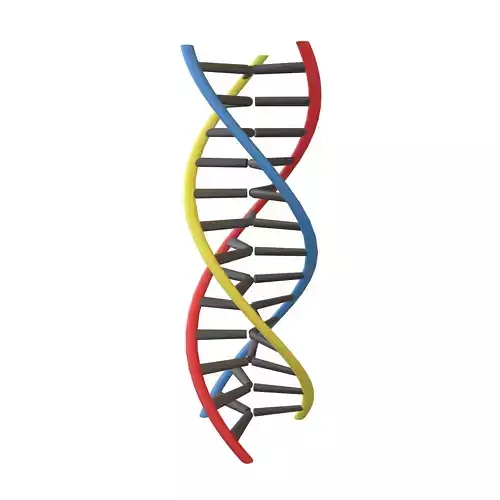 Triple Helix DNA v1 002