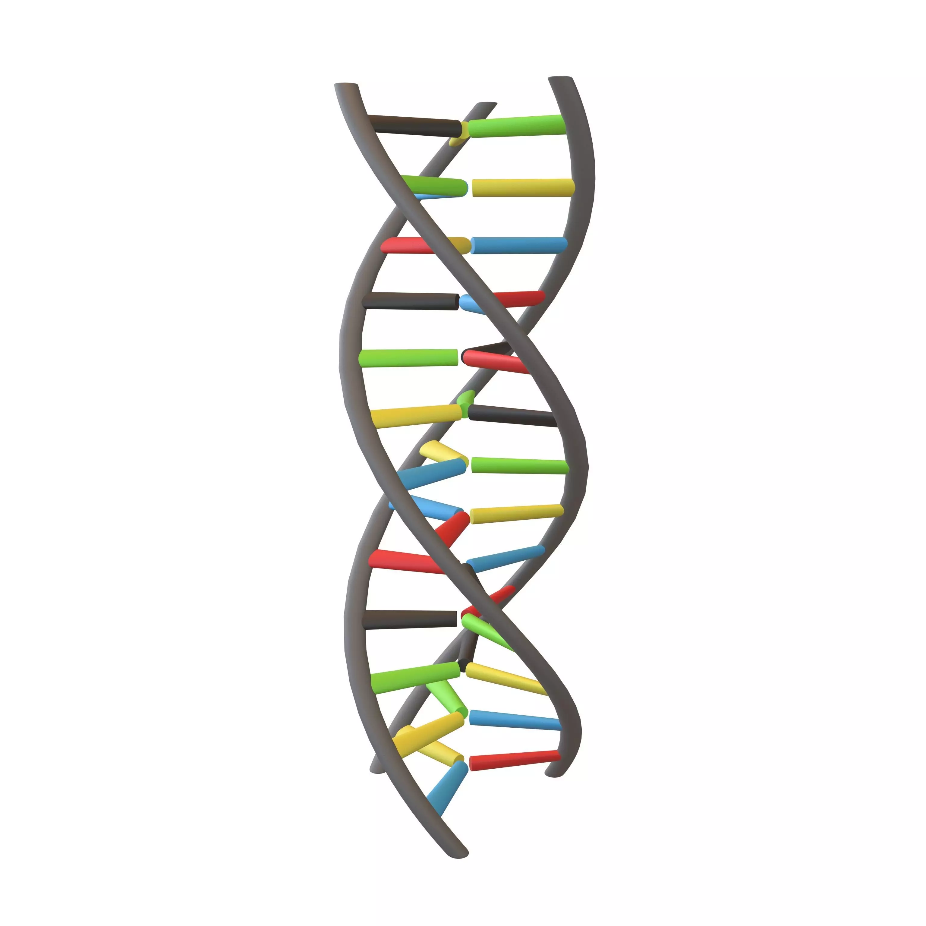 Triple Helix DNA v1 003 3D model