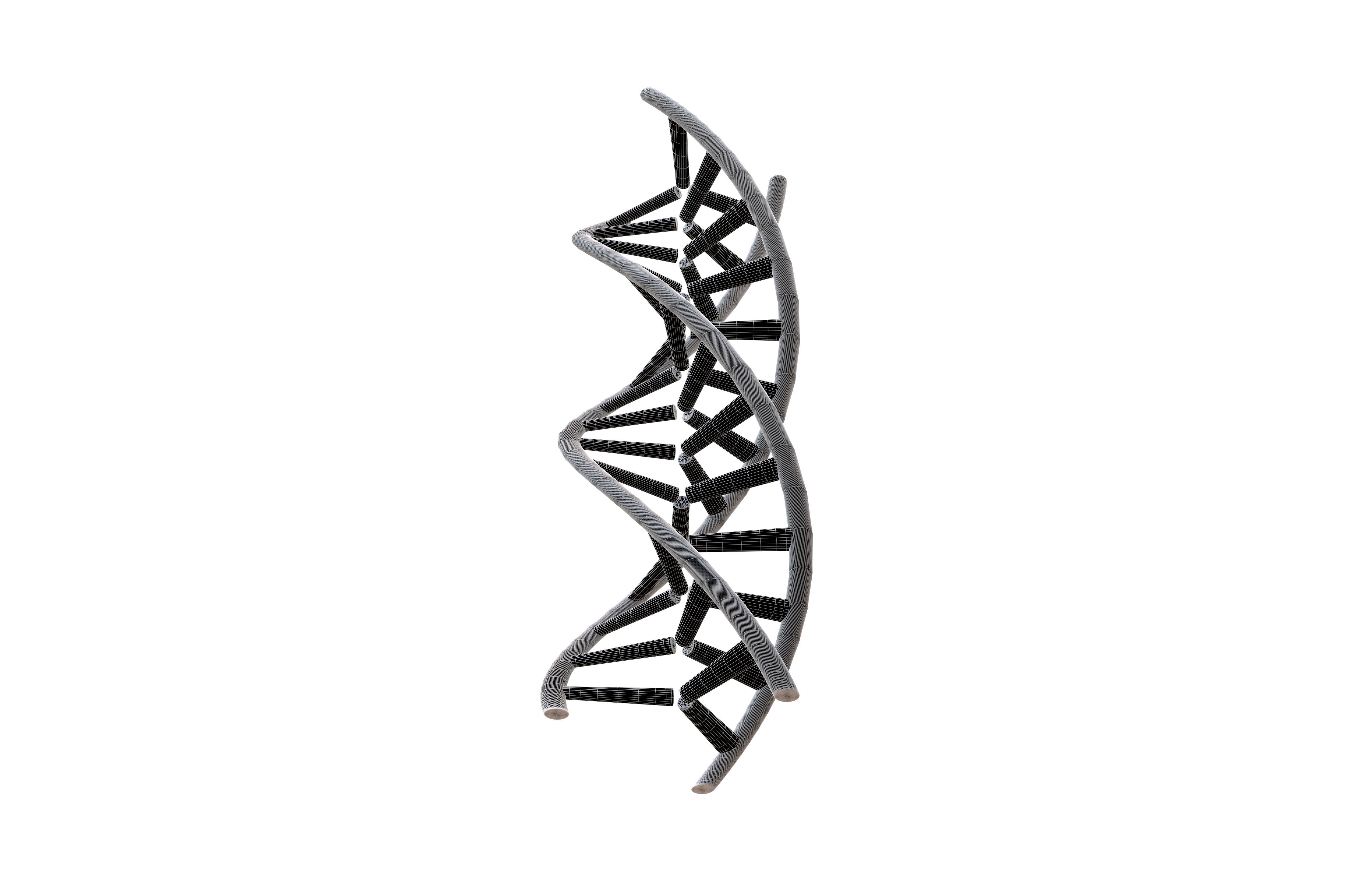 Triple Helix DNA v1 005 3D model_7