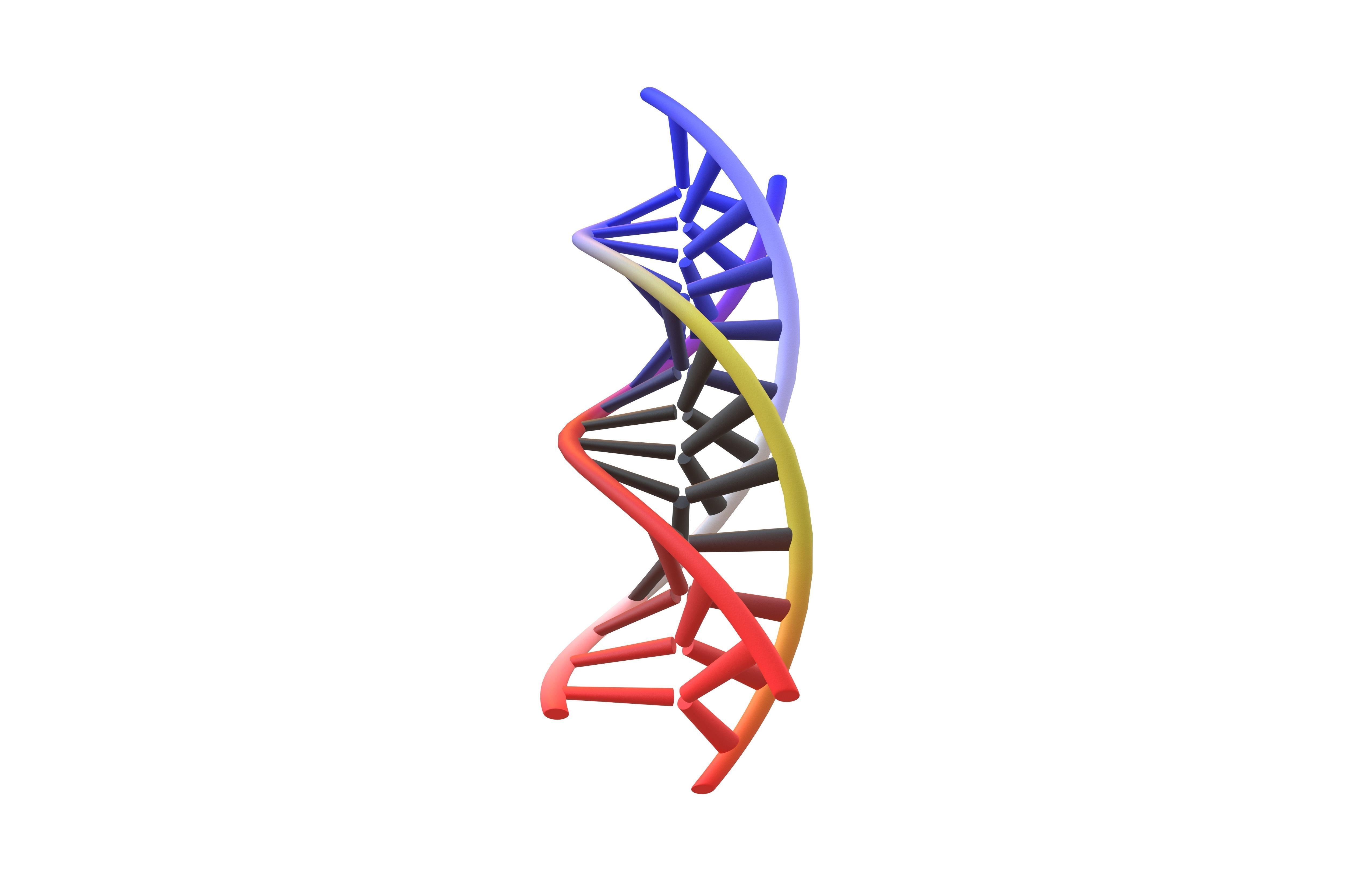 Triple Helix DNA v1 005 3D model_3