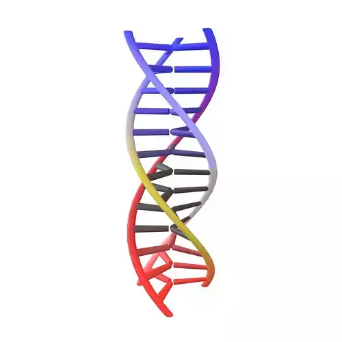Triple Helix DNA v1 005