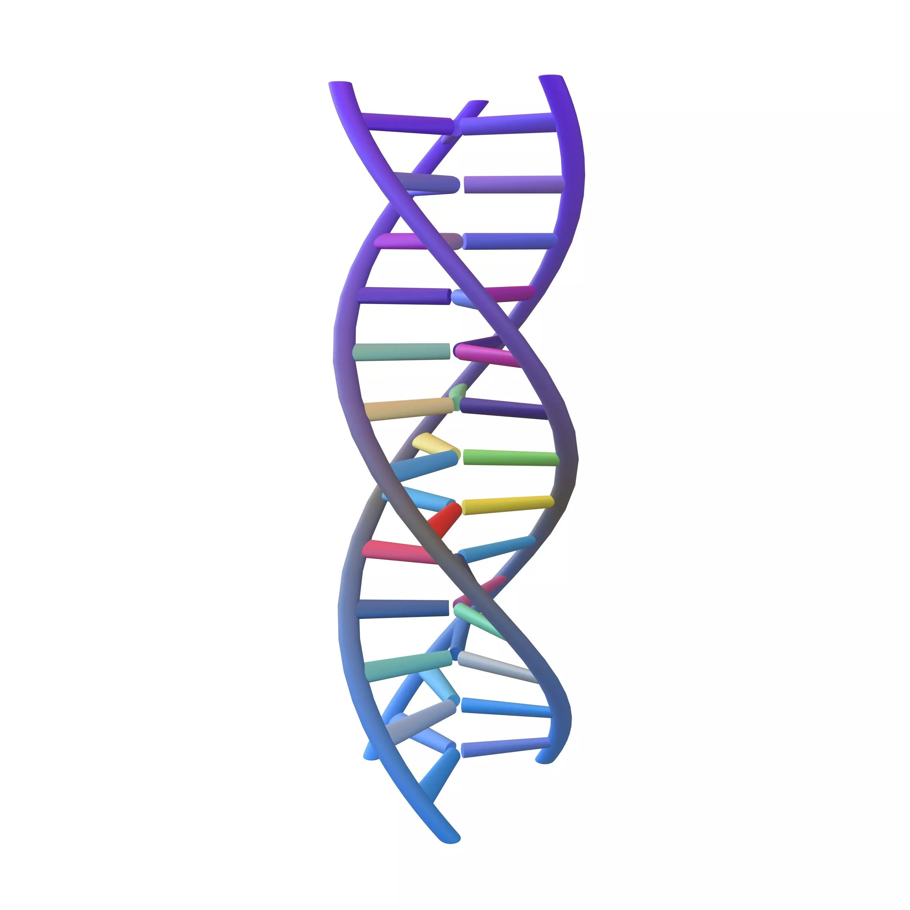 Triple Helix DNA v1 006 3D model_0