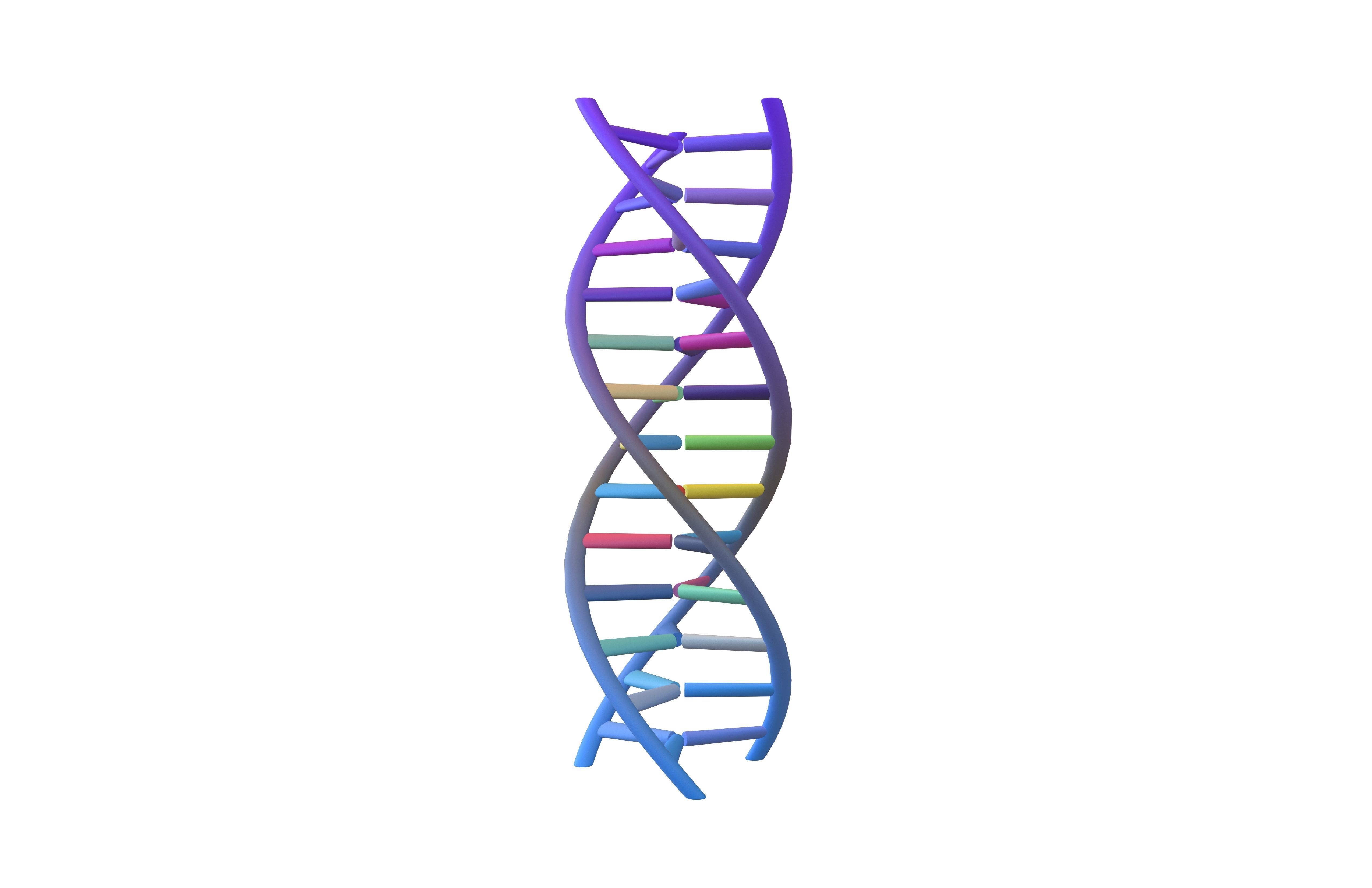 Triple Helix DNA v1 006 3D model_1