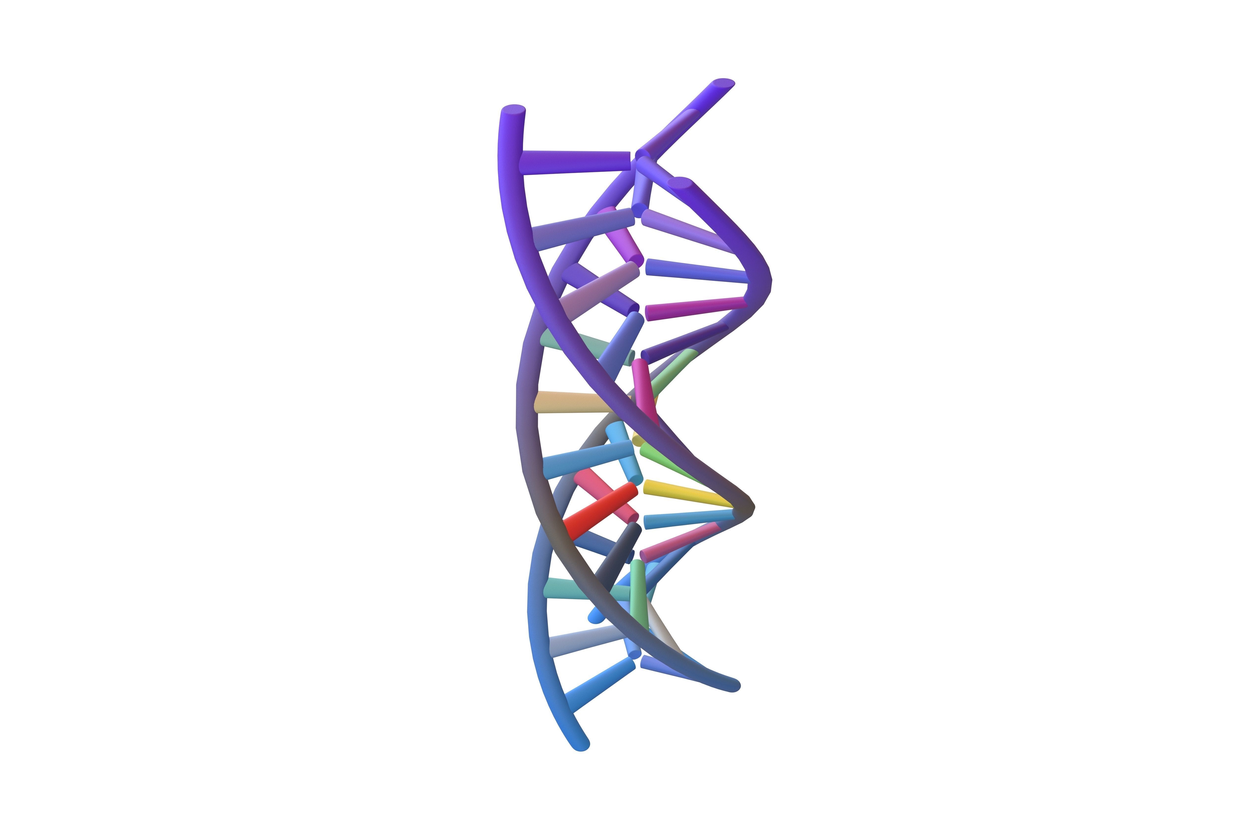 Triple Helix DNA v1 006 3D model_2