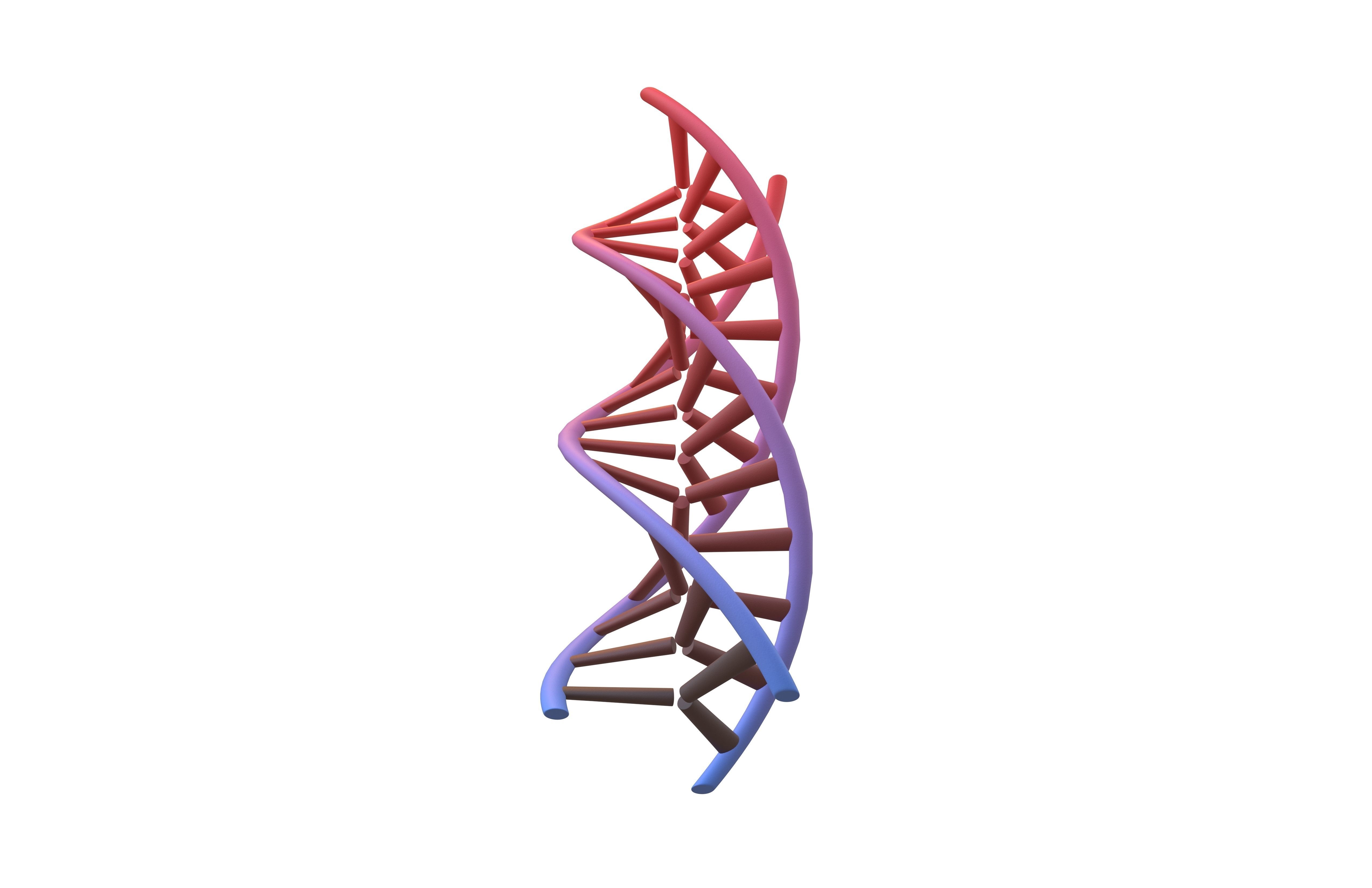 Triple Helix DNA v1 007 3D model_3
