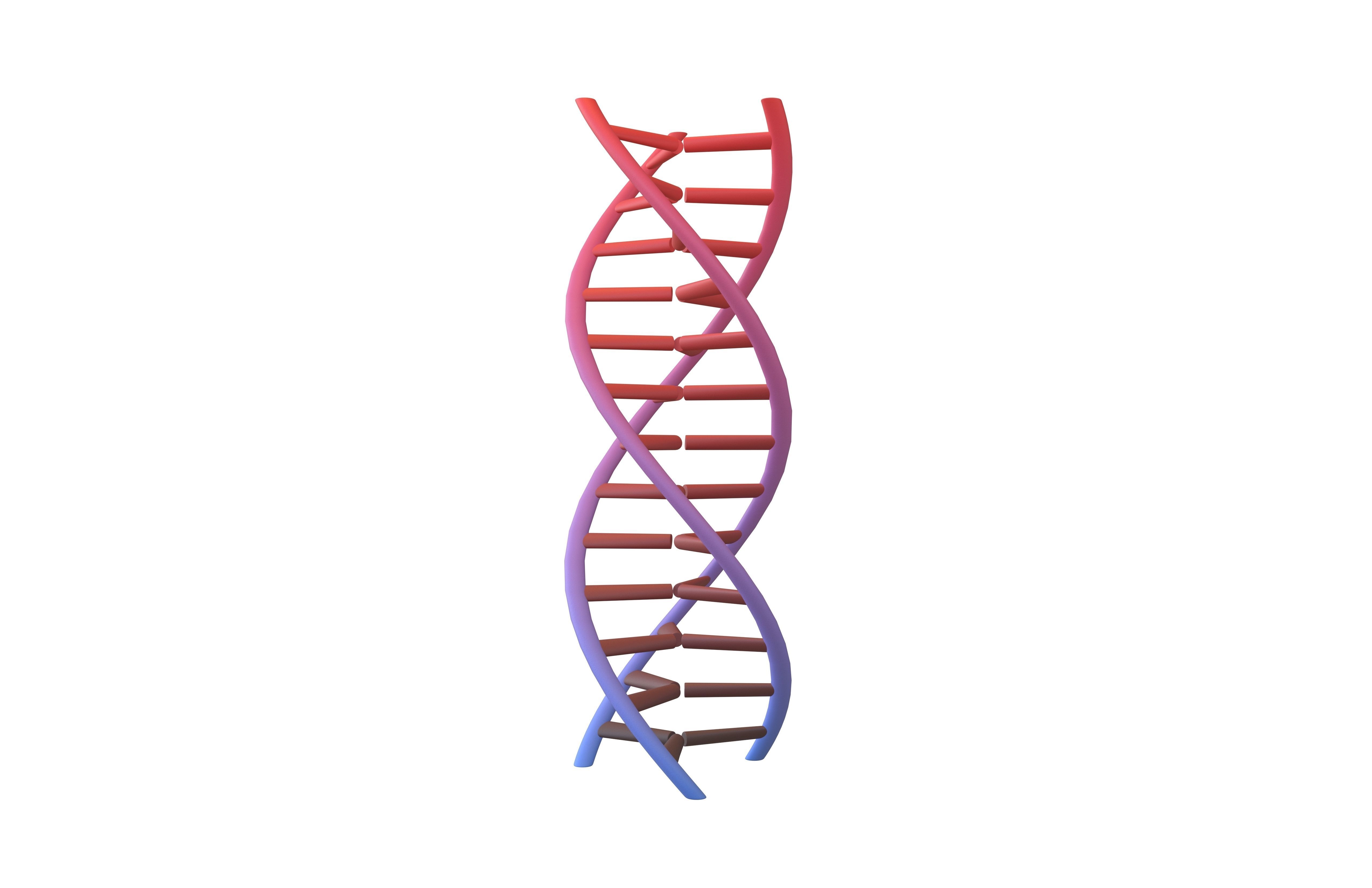 Triple Helix DNA v1 007 3D model_1