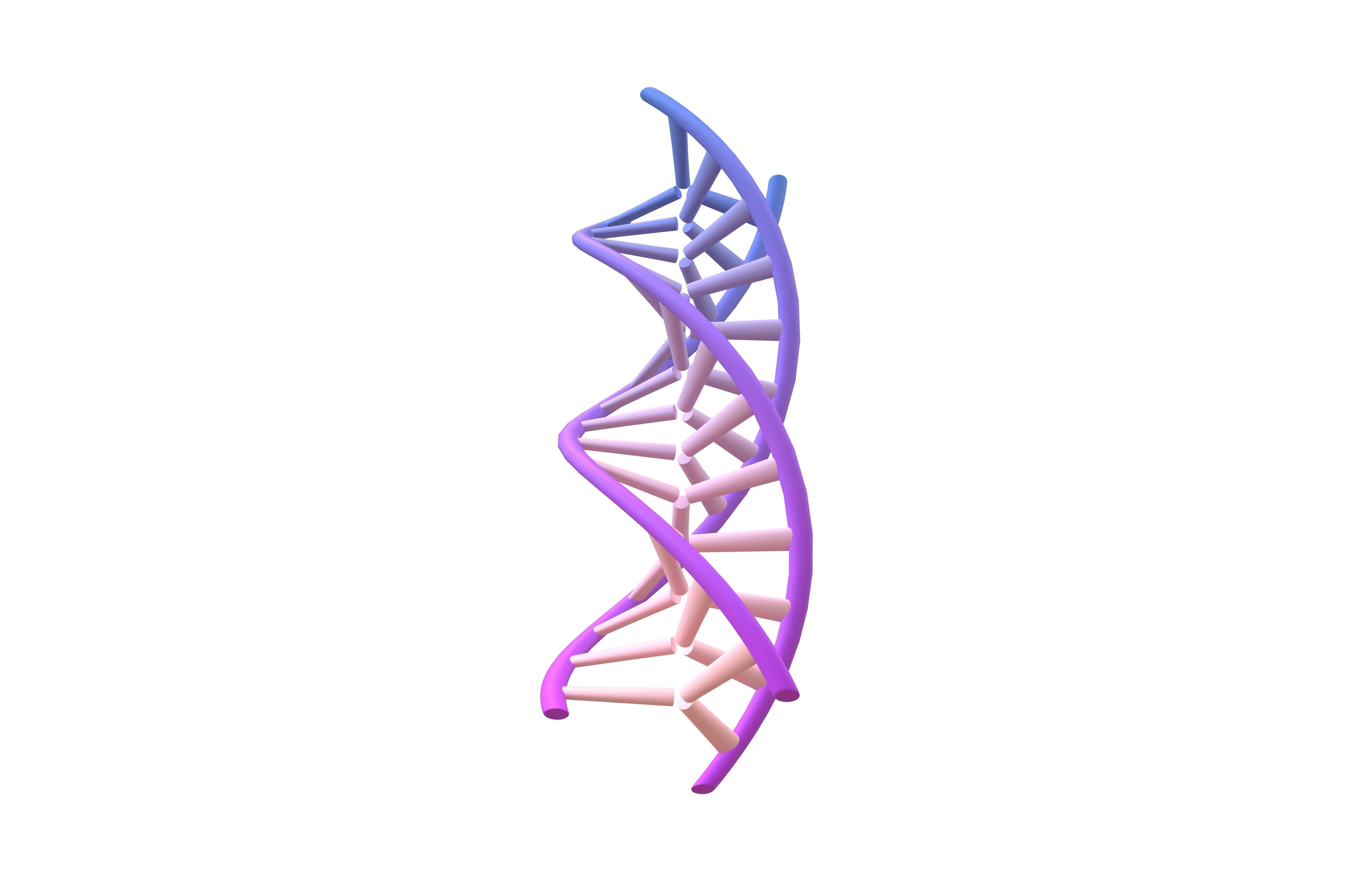 Triple Helix DNA v1 010 3D model_3