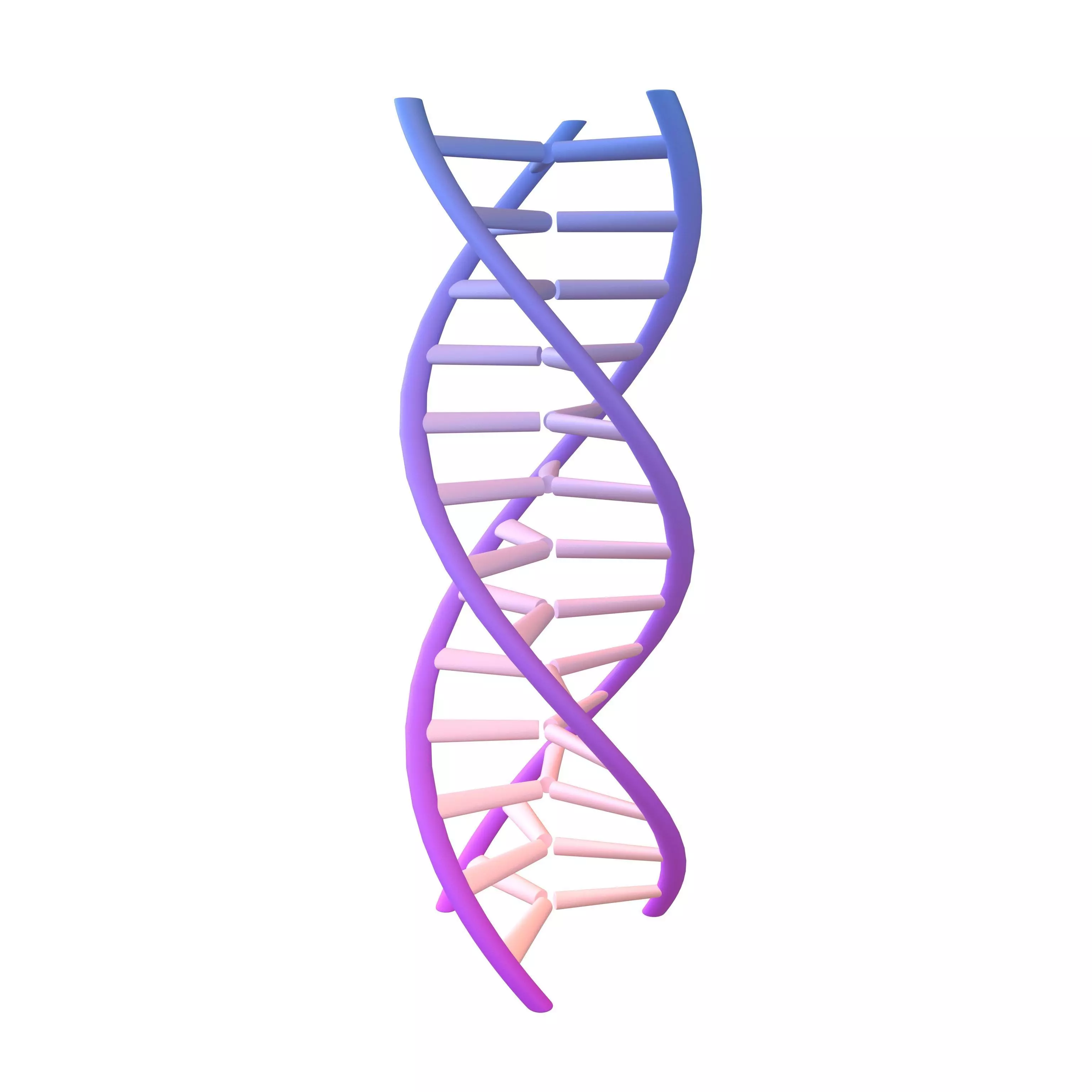 Triple Helix DNA v1 010 3D model_0