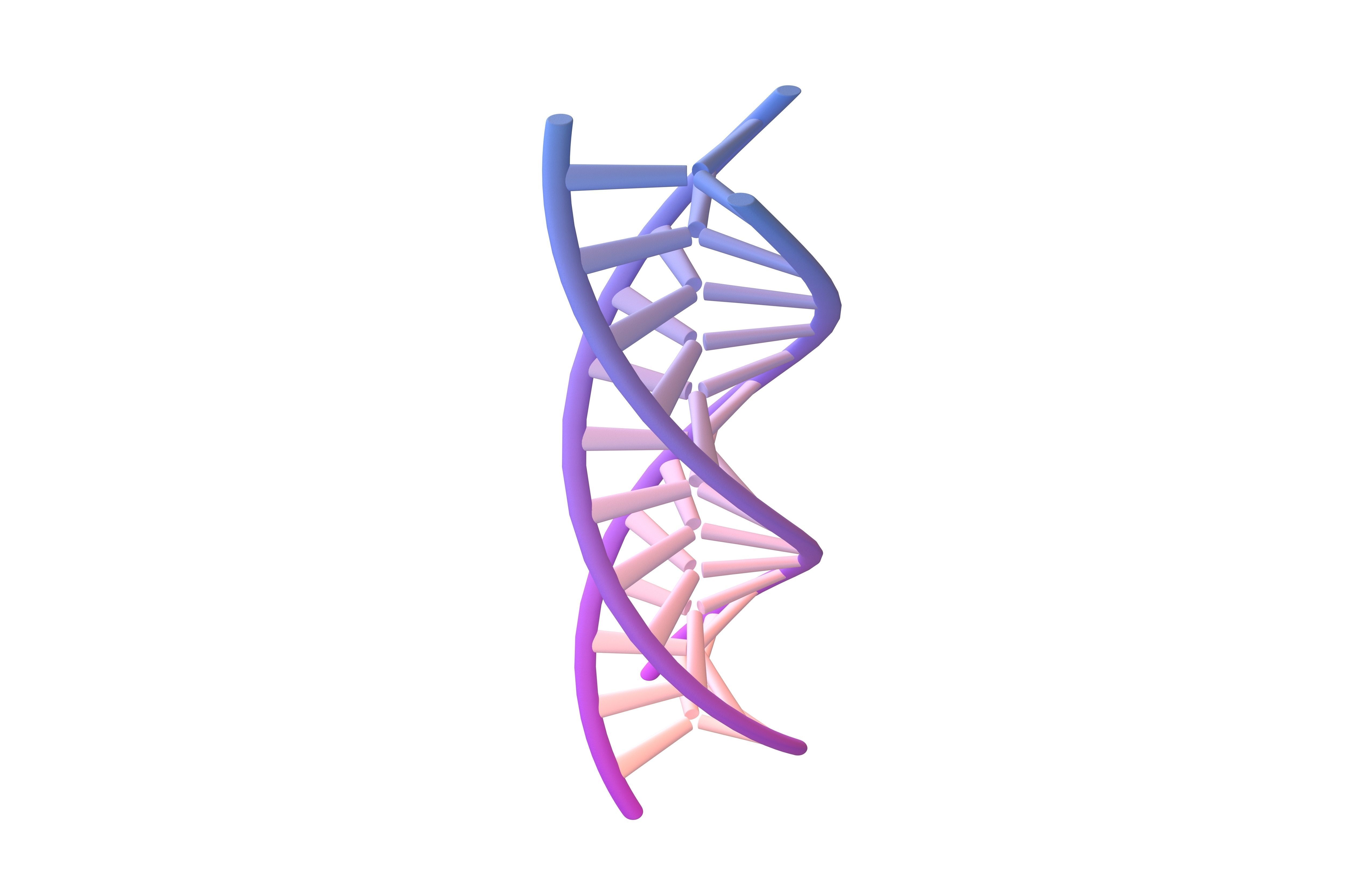 Triple Helix DNA v1 010 3D model_2