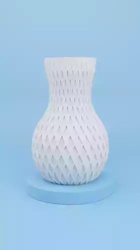 VASE CORTEX LOOP