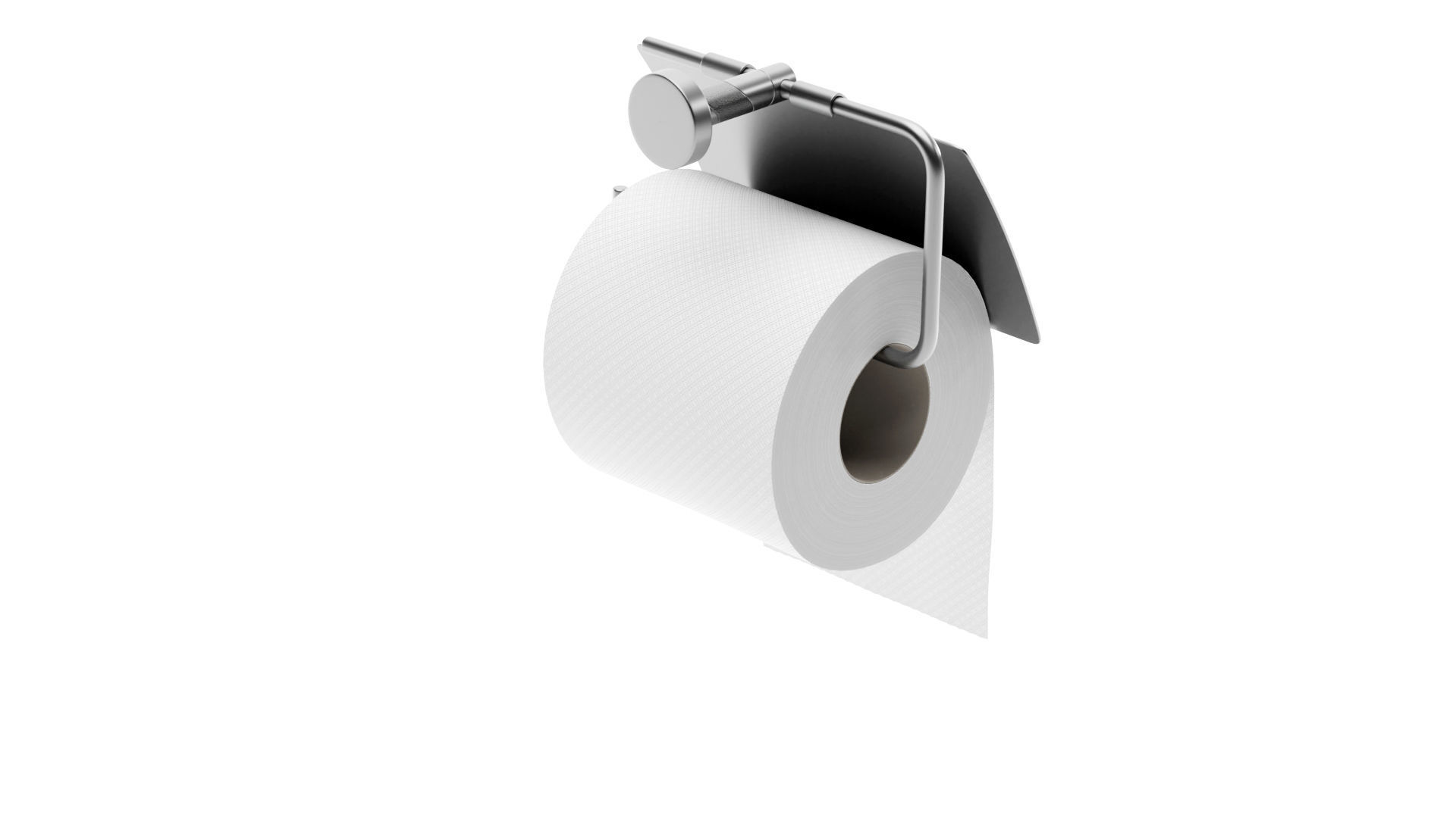Toilet Paper with Holder 3D model_5