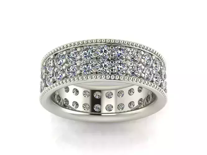 Eternity Band Ring - Two Stone Rows