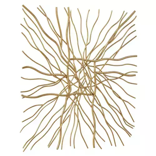 Everly quinn vida wall decor  