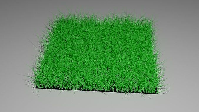 grass 3D model | CGTrader