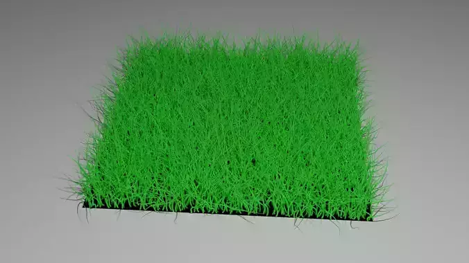 grass