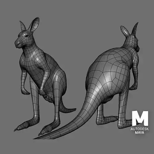 Kangaroo Male BaseMesh