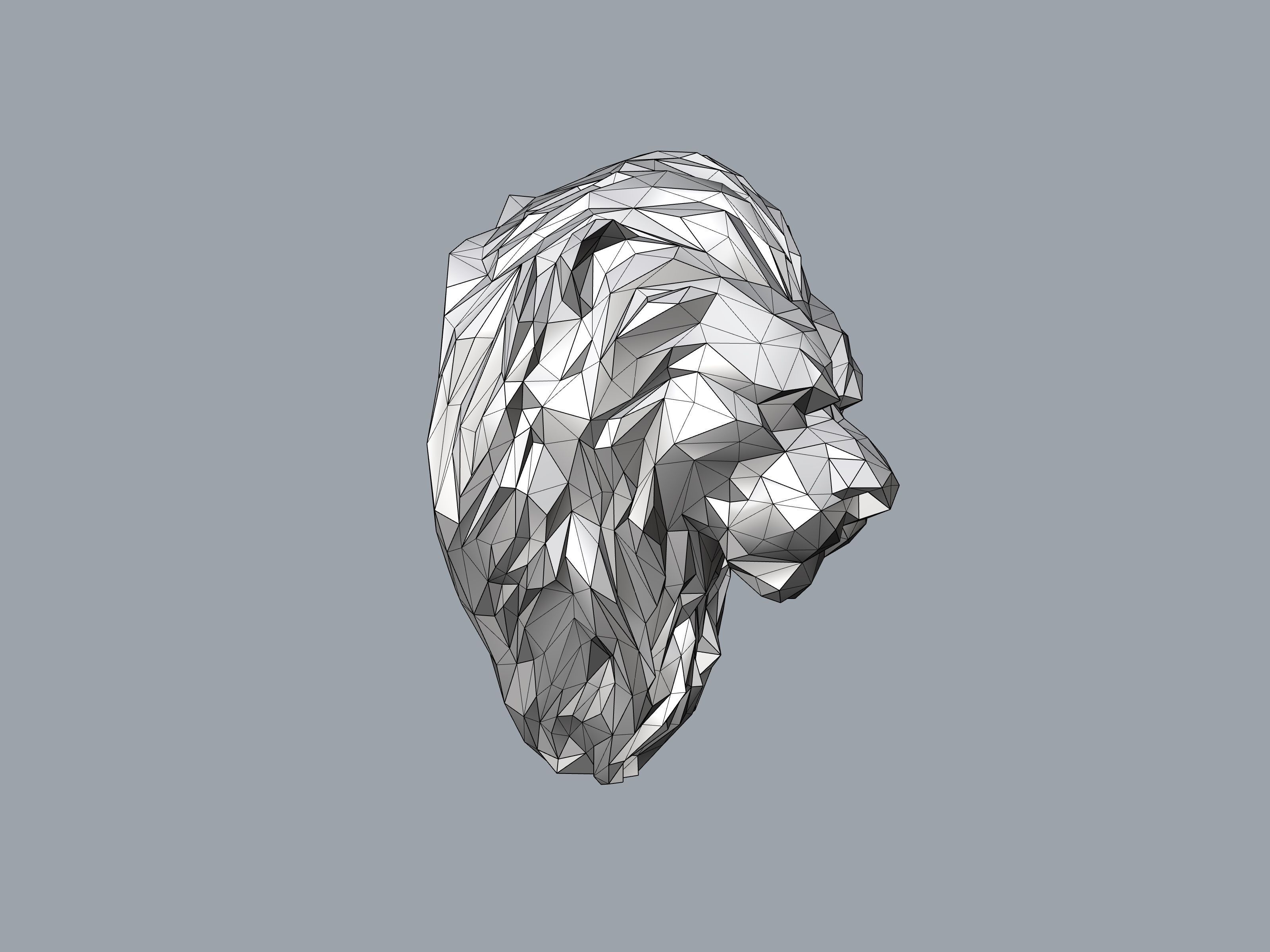 Lion Face Low Poly Stl verified 3D print model_6