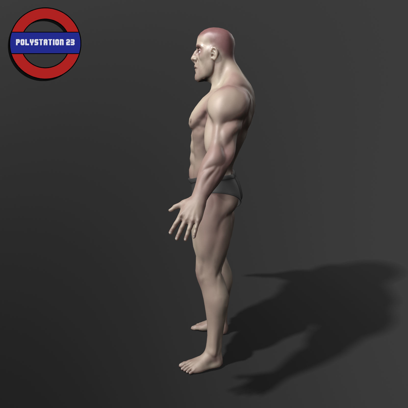 human anatomy male body stylized cartoon v1 Low-poly 3D model_3