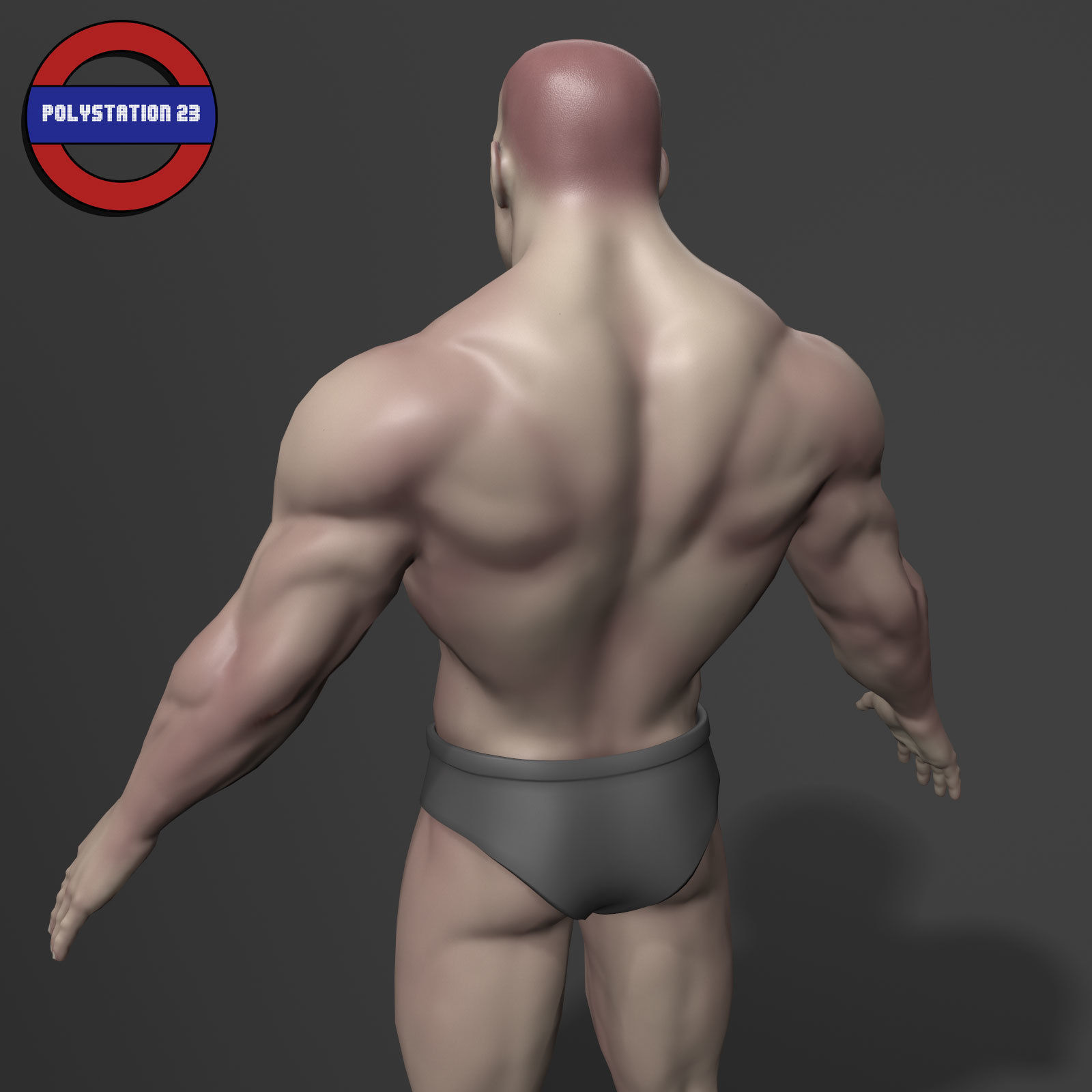 human anatomy male body stylized cartoon v1 Low-poly 3D model_9