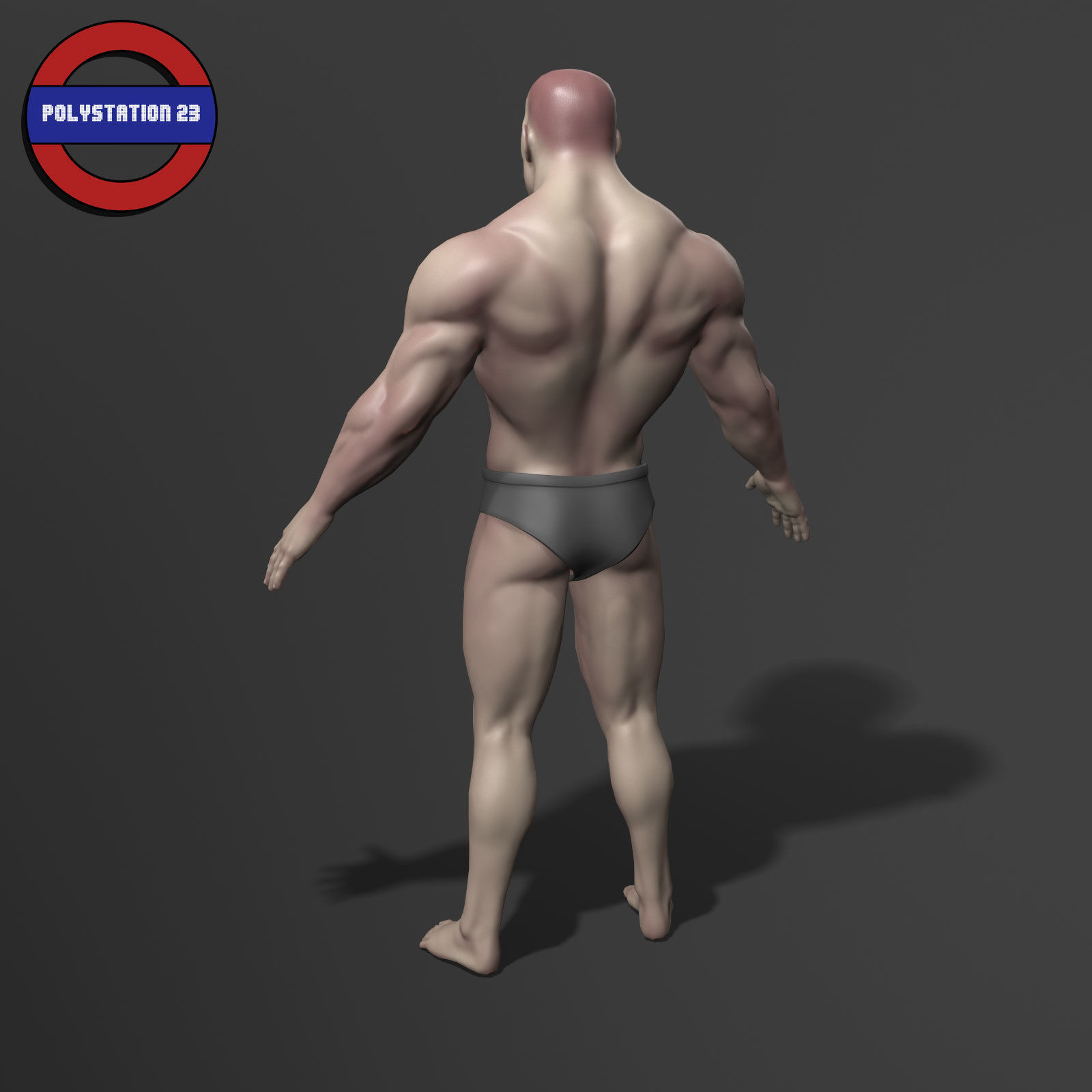 human anatomy male body stylized cartoon v1 Low-poly 3D model_4