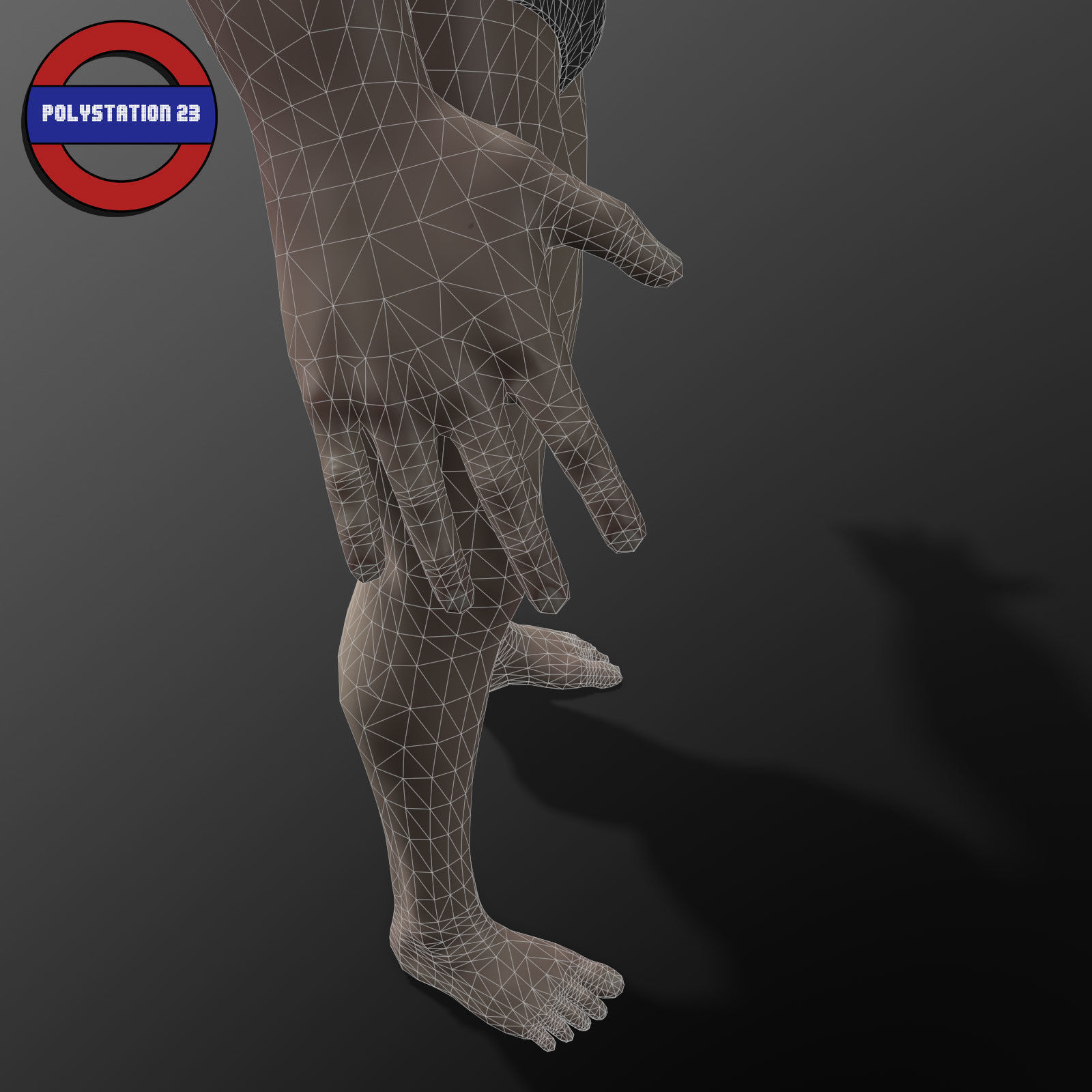 human anatomy male body stylized cartoon v1 Low-poly 3D model_19