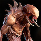 Wild Alien Low-poly 3D model_14