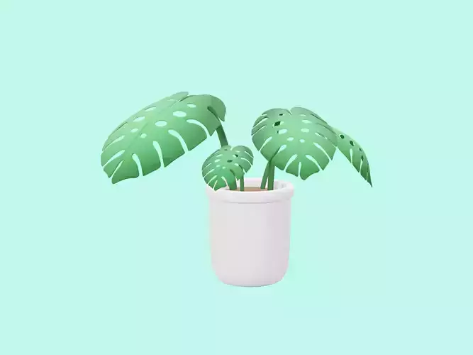 3D Plant Monstera