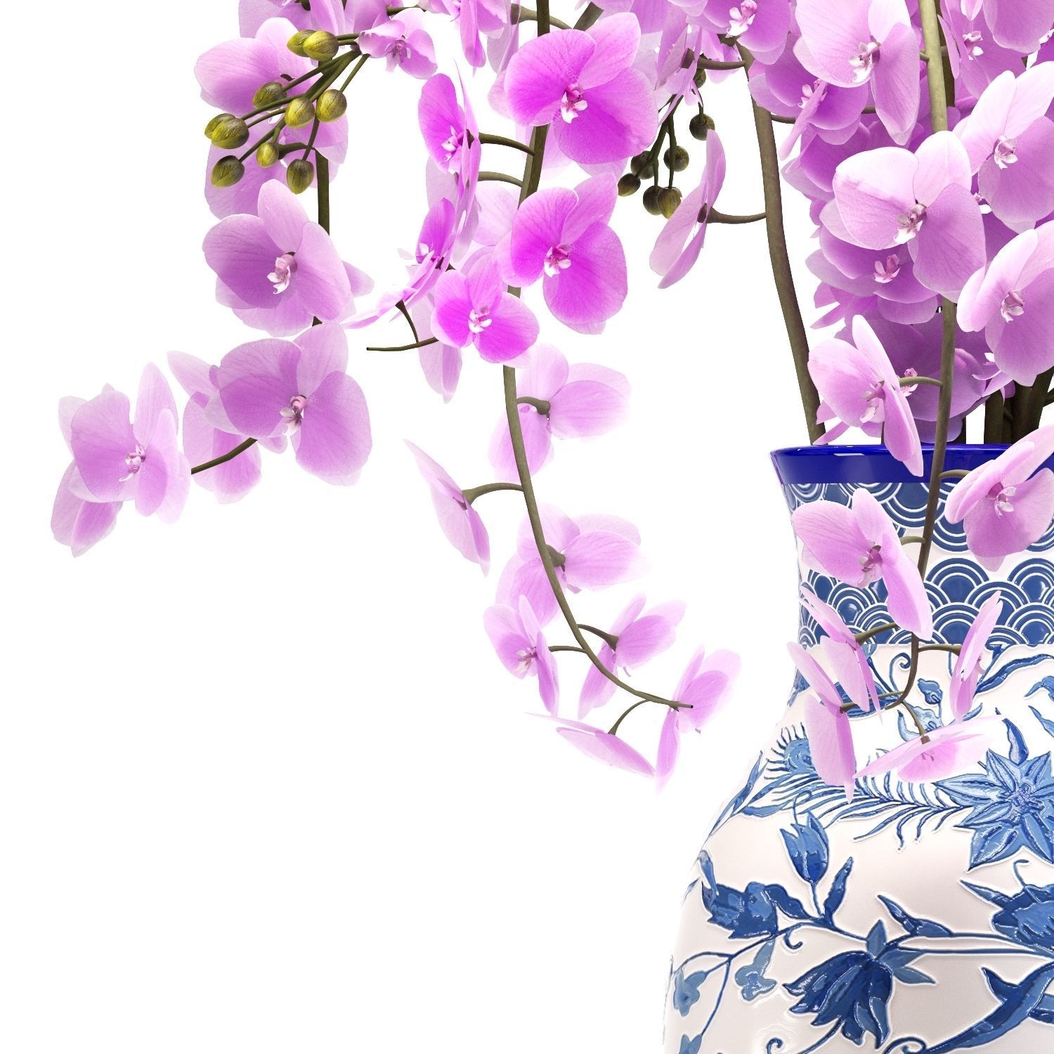 Orchid bouquet 3D model_1