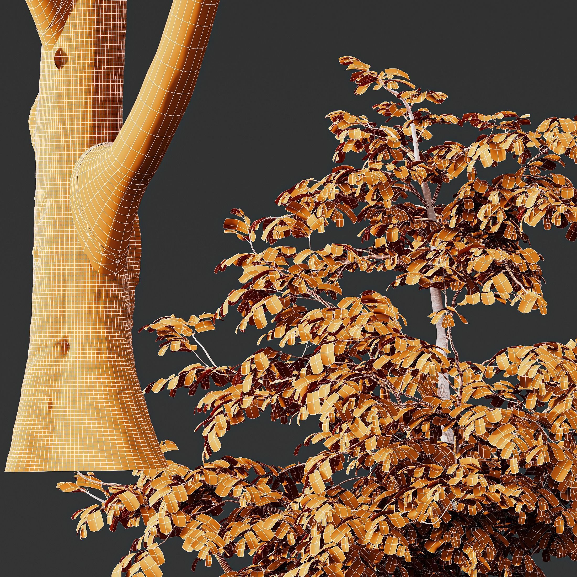 HQ Plants Carpinus Betulus 02 3D model_3