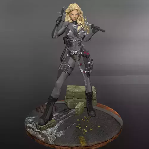 Lynn Michaels Punisher