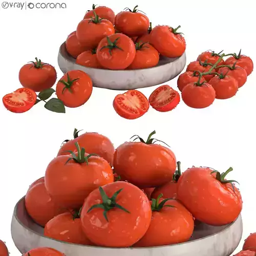 tomato dish 3D model