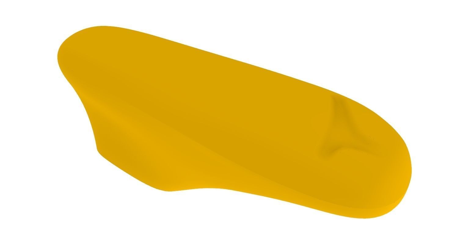 Female Shoe Last  3D print model_5