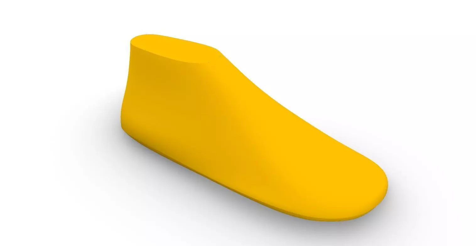 Female Shoe Last  3D print model_0