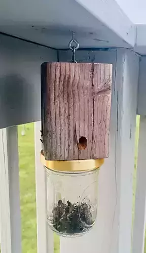 Carpenter Bee Trap Adapter 3D print model