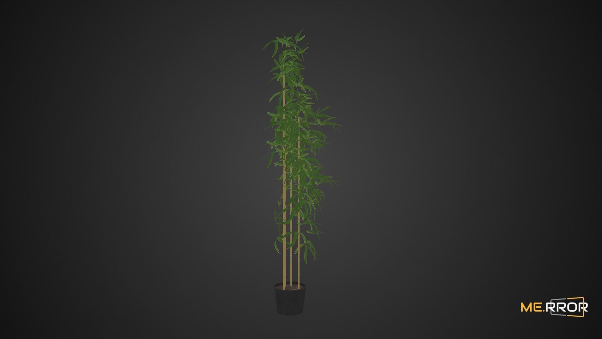 Game Ready Bamboo Low-poly 3D model_3