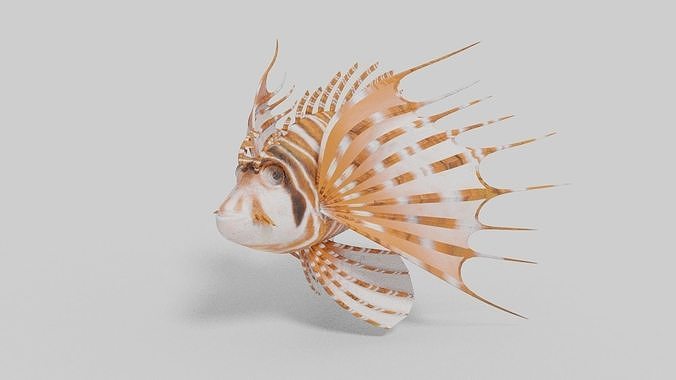 Broadbarred Farefish 3D Model 3D model
